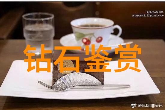 什么是数字化健康档案对宠物医疗管理的影响