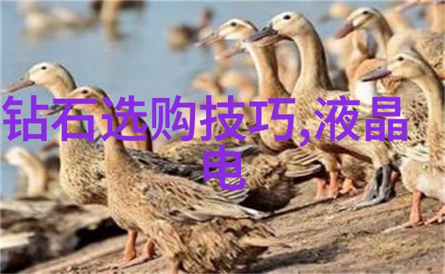 婚纱礼服浪漫婚礼时尚秀