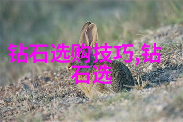 翡翠寻踪揭秘古今珍稀宝石之地