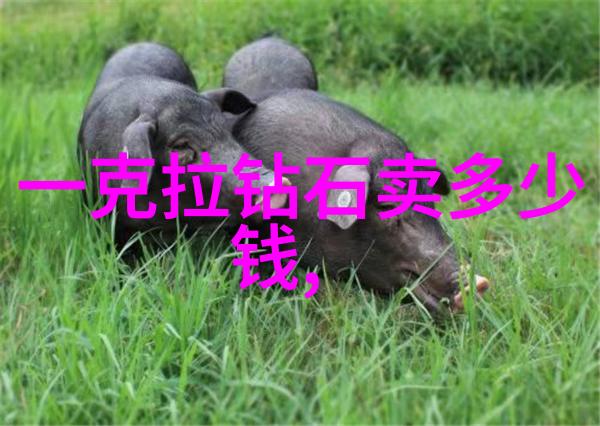 宠物医疗技术的未来趋势人工智能与精准诊疗