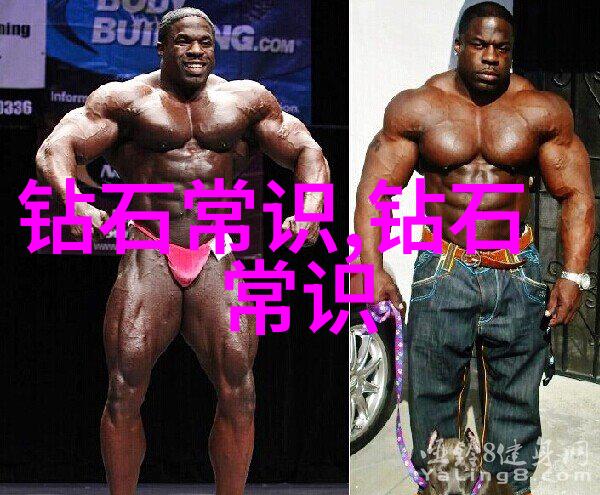 品味天地探索美的边界与深度