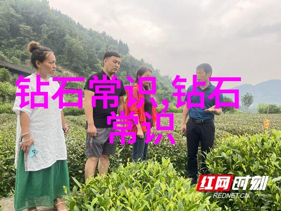 中国文化艺术协会我是如何在这里遇见传统的故事