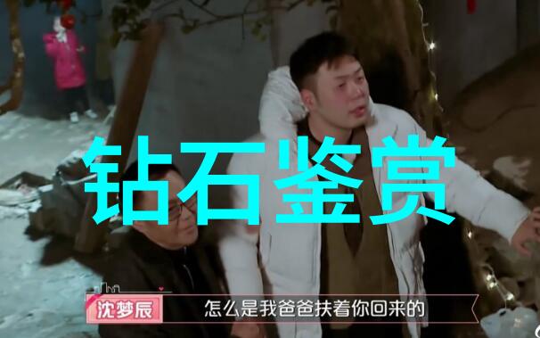 世界上最贵的十件翡翠我带你走进翡翠界的豪门大宅