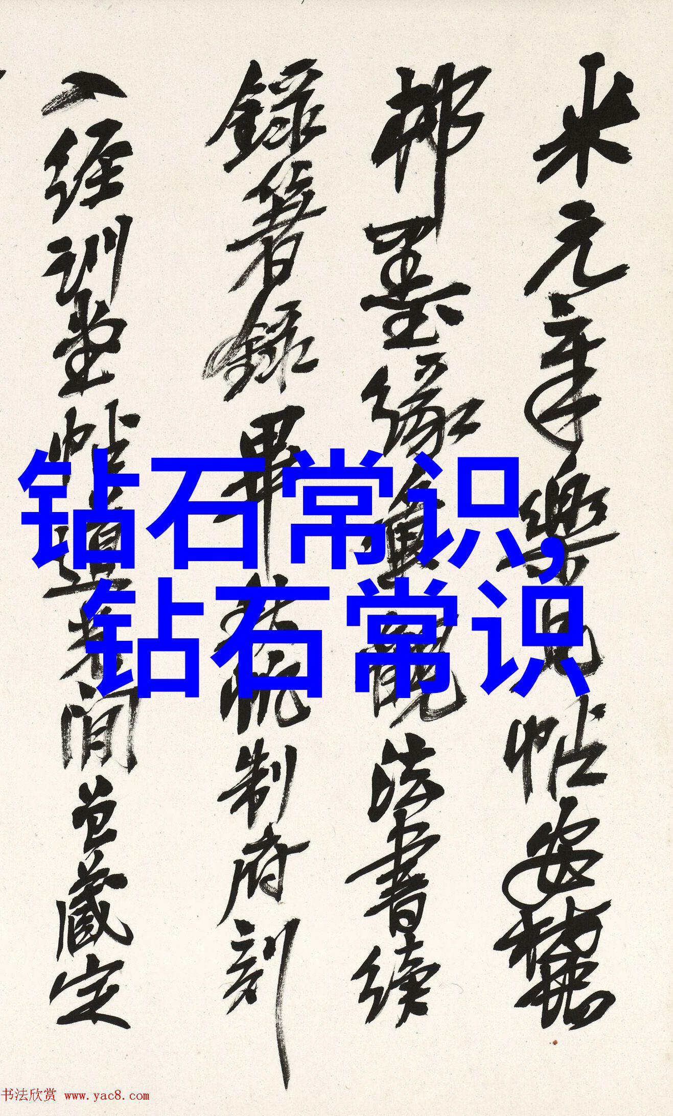 探索璀璨宝石中国地质大学珠宝鉴定专业的精髓与未来