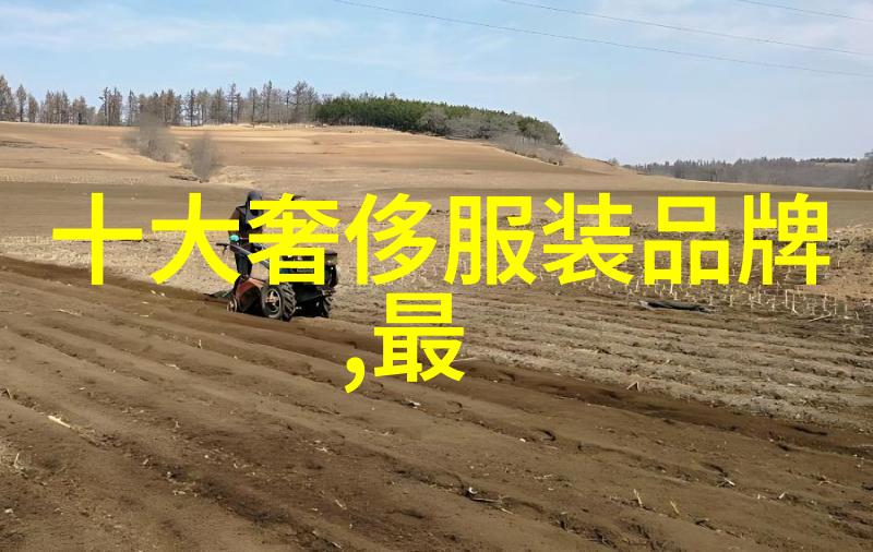 数字时代的布贴画复兴现代材料与技术创新