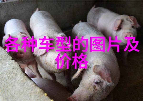 传统文化小知识我是怎么突然爱上看琅琊榜的