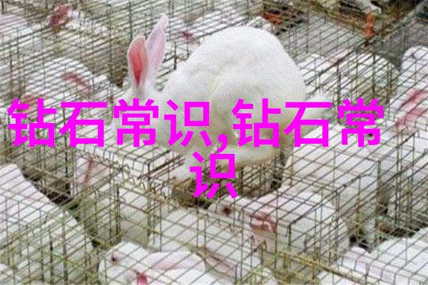 碧血洗银枪江湖沉默的剑舞