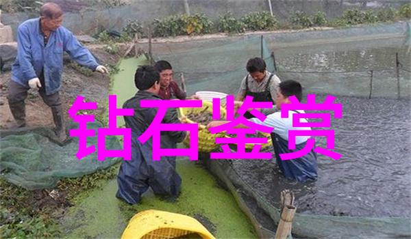 从地心到表面一个关于地球深处珍贵矿产发现故事