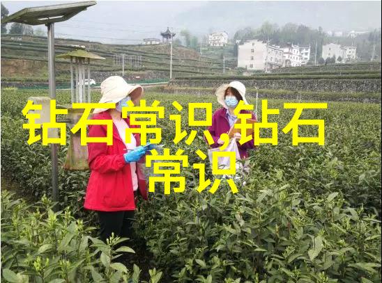 探索中华大地揭秘中国文化常识的奥秘