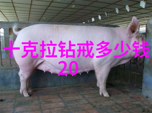 走进工艺美术工作室见证手工之爱的流淌