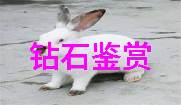 我来告诉你工艺和技术的差别你知道吗
