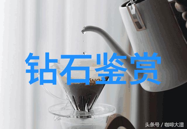森林中的秘密画卷