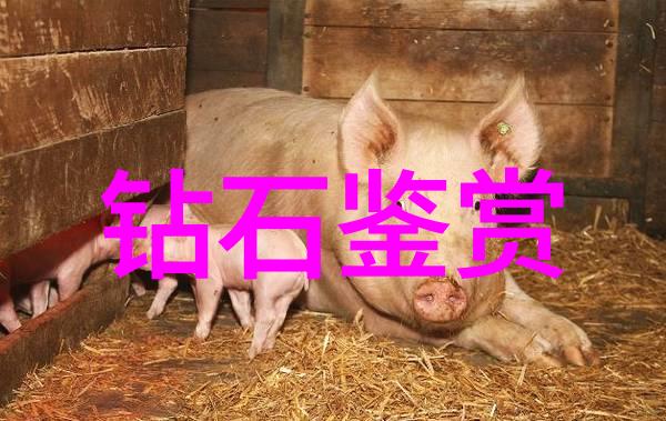 大禹治水古代中国著名的洪水控制与管理者