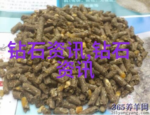工艺美术的魅力与实践探索艺术与技术的交汇点