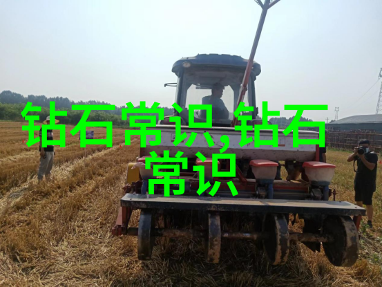 名字里的笑话从小明到大智每个字都藏着故事