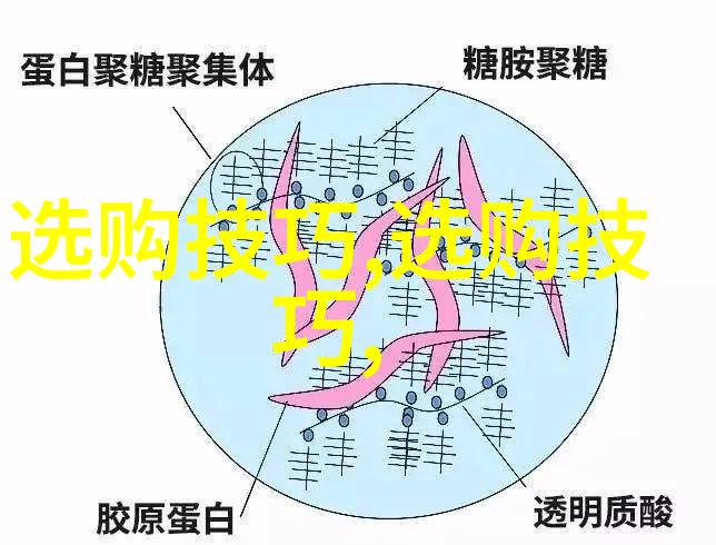 客户服务新篇章探索智能客服技术的未来趋势与挑战