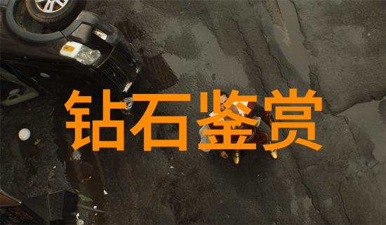淘气兔与坚韧龟一场意料之外的赛跑奇遇