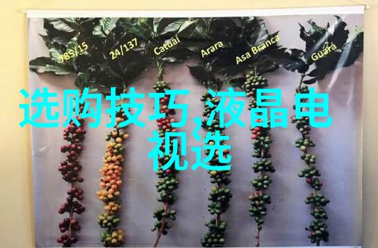 凯撒文化权力的象征与艺术的融合