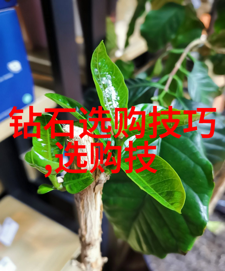 玉的灵性与人生之道