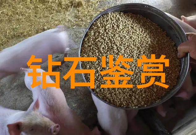 中国文化定义的论述-解读中华文明从儒家到当代