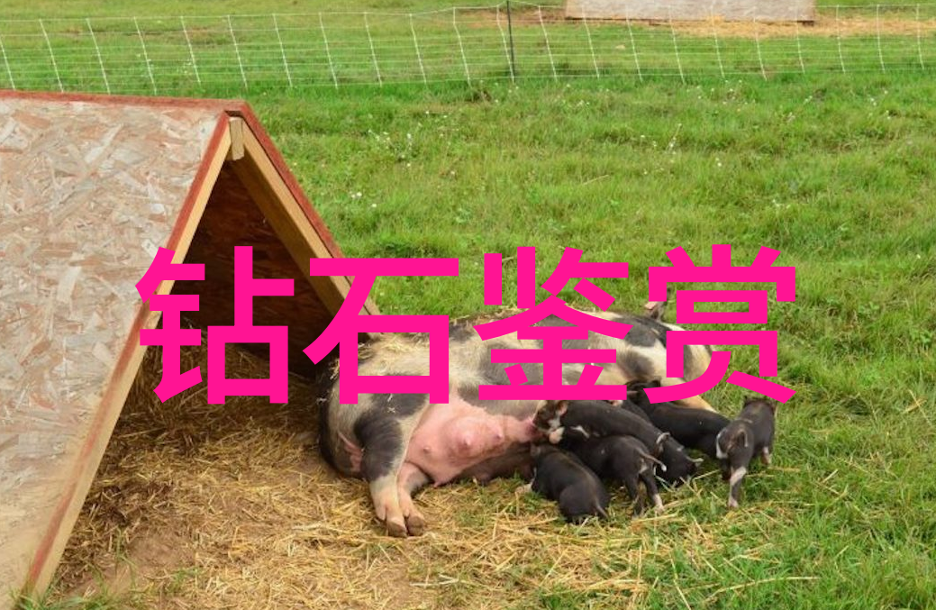 节庆活动安排中式盛宴vs美国派对聚会