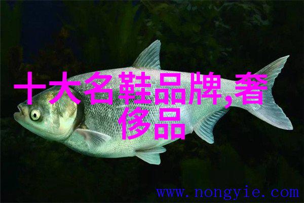 心之火和星辰有什么共同点