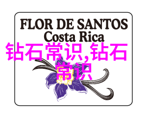 胡萝卜先生为何拥有如此出众的长胡子