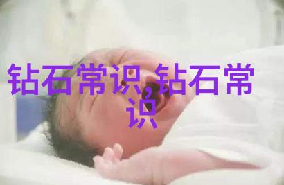 品鉴与鉴赏揭秘两者差异的艺术世界品鉴技艺与鉴赏情感的辨识