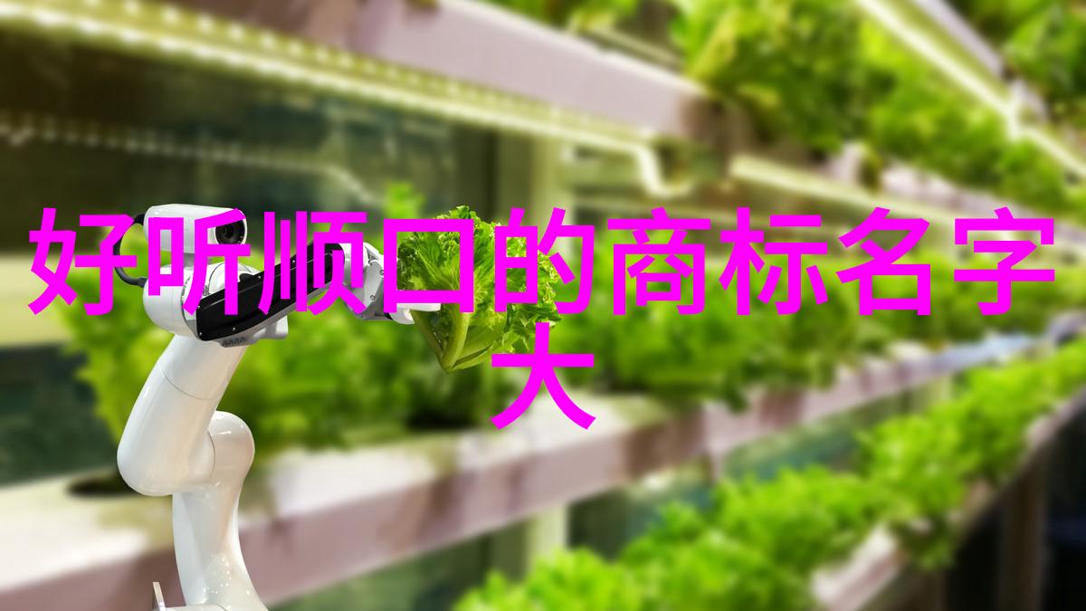 工艺的多样性与创新前沿