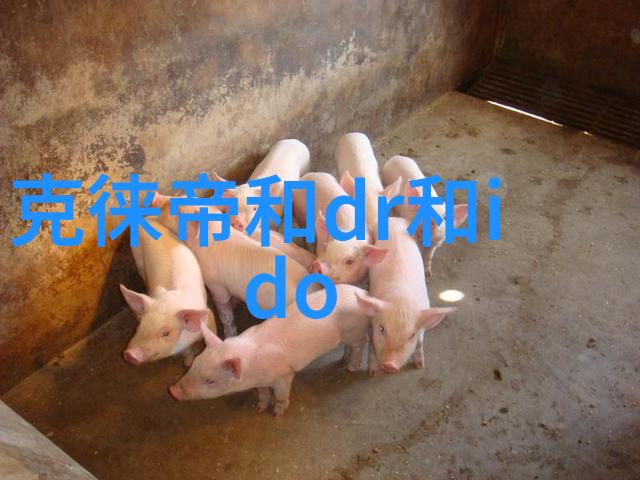 DIY测试方法识别假钻与真钻提高你的鉴赏能力