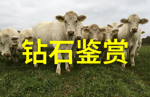 手工艺术品-简约之美探索简单手工艺品的独特魅力