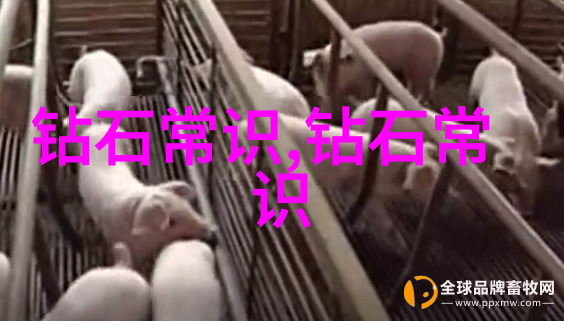 家居软装艺术的细腻之美空间中的温馨触感设计