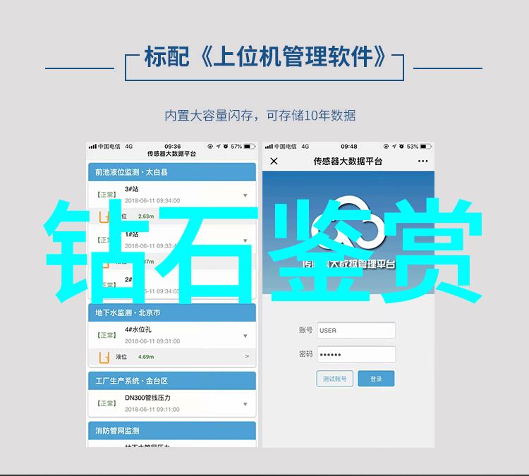 南国韵味探索岭南文化的深邃之美