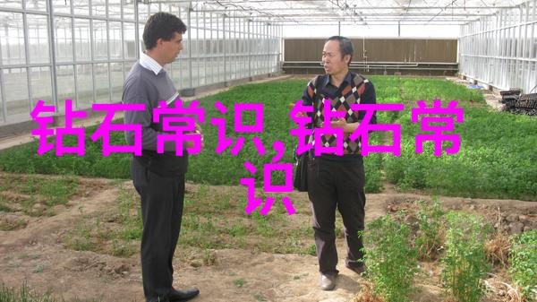 深度开发1V3TXT技术深度学习与人工智能的新应用