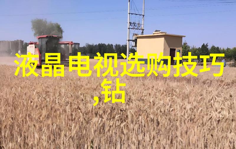 浪漫婚纱定制之旅追寻完美的爱情故事