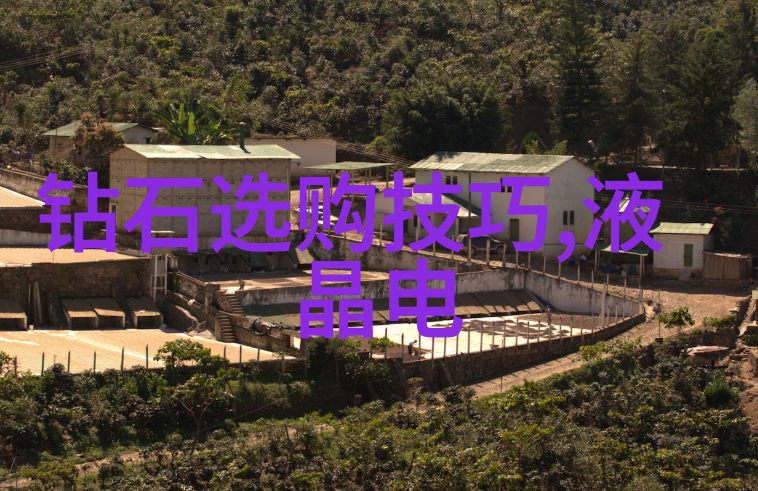 中国文化是什么- 探索传统与现代的交融之谜