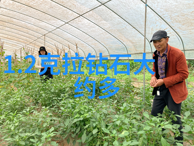 中国十大旅游城市探索文化与自然之美