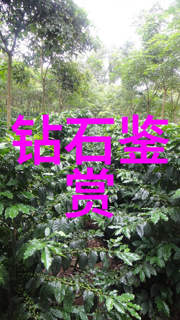 工艺之美深度解读工艺艺术的魅力