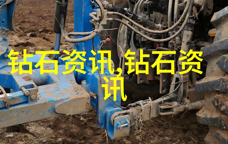 张柏芝的秘密武器揭秘她那令人瞩目的下摆之谜