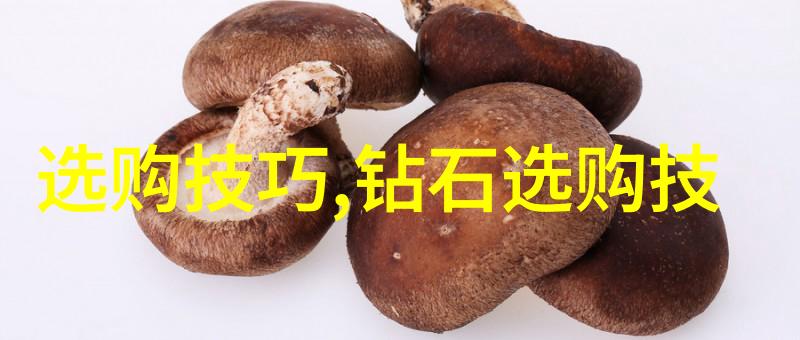 中西文化差异英文200我的趣味小探索