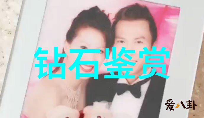 未来健康之钙站2024GY钙站的崛起与影响