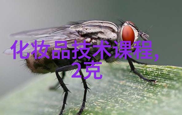 在森林深处的奇遇小红帽与大灰狼的意外相遇
