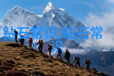它想你了亲爱的如何让你的宠物感受到温暖和关怀