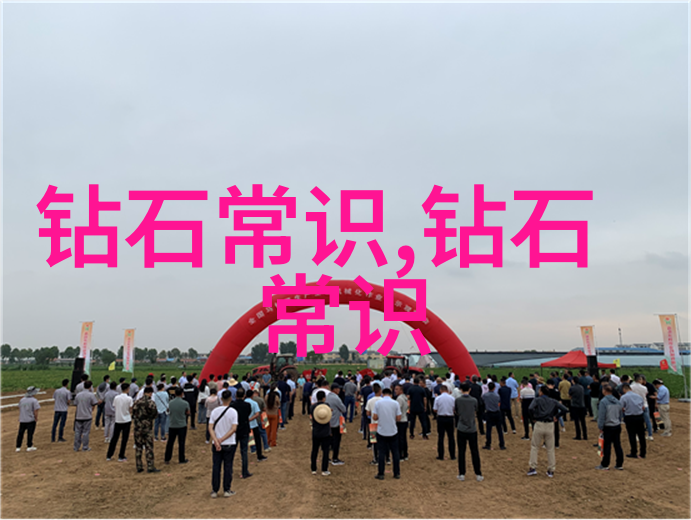 翡翠鉴定艺术探索翡翠的价值与品质