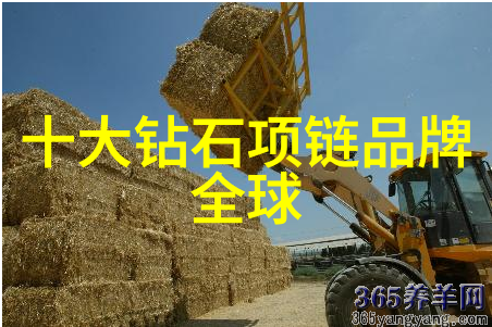 璀璨辉煌揭秘世界上最贵最大的钻石克拉之冠的传奇故事