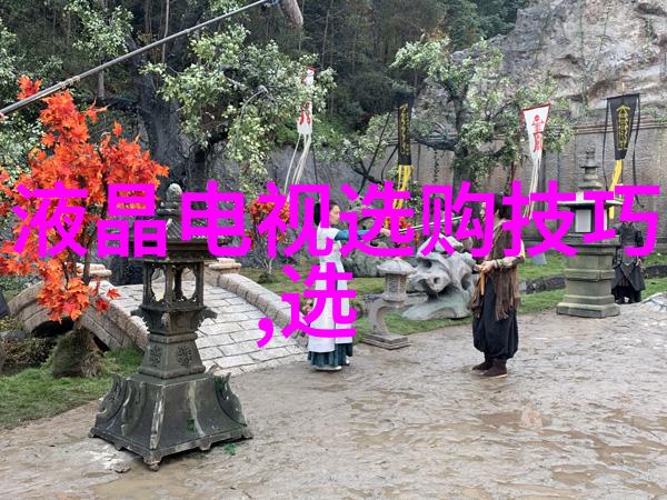 中国文化常识大全书-探索中华民族的精神家园从中国文化常识大全书深入了解我们的传统文化