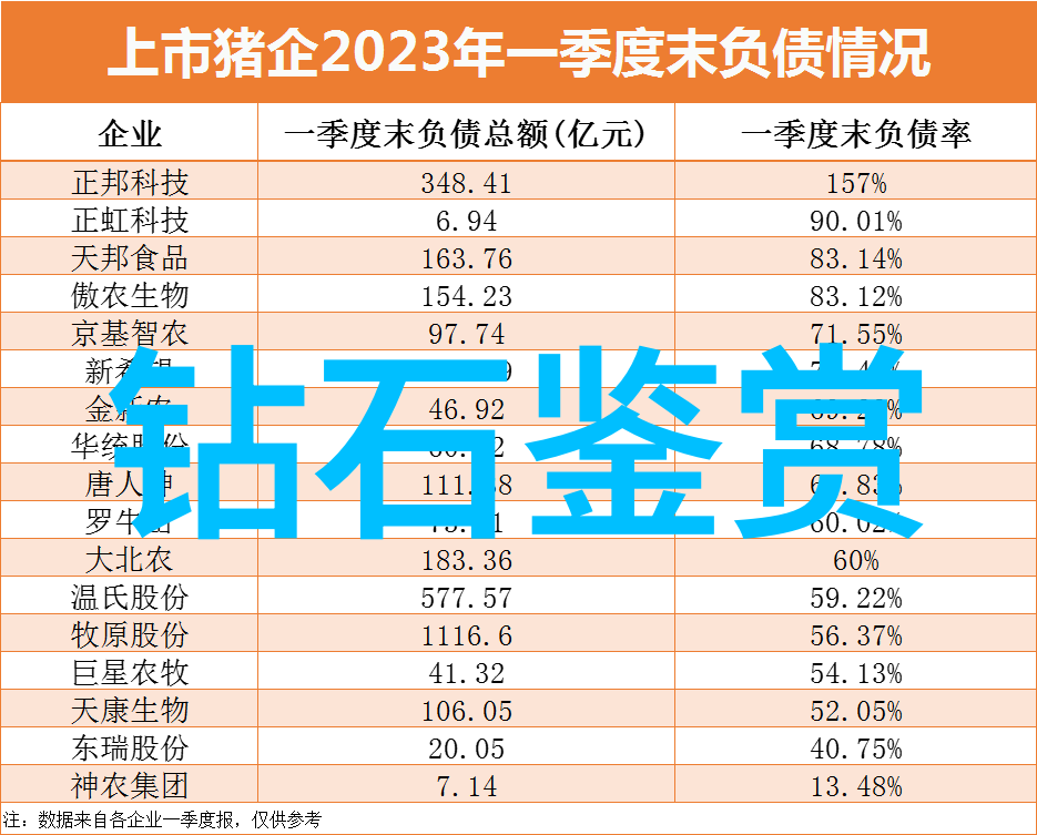 纱裙绽放婚礼之美的诗篇