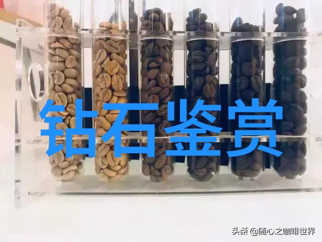 山西传媒学院培育新时代的新闻人才旗帜