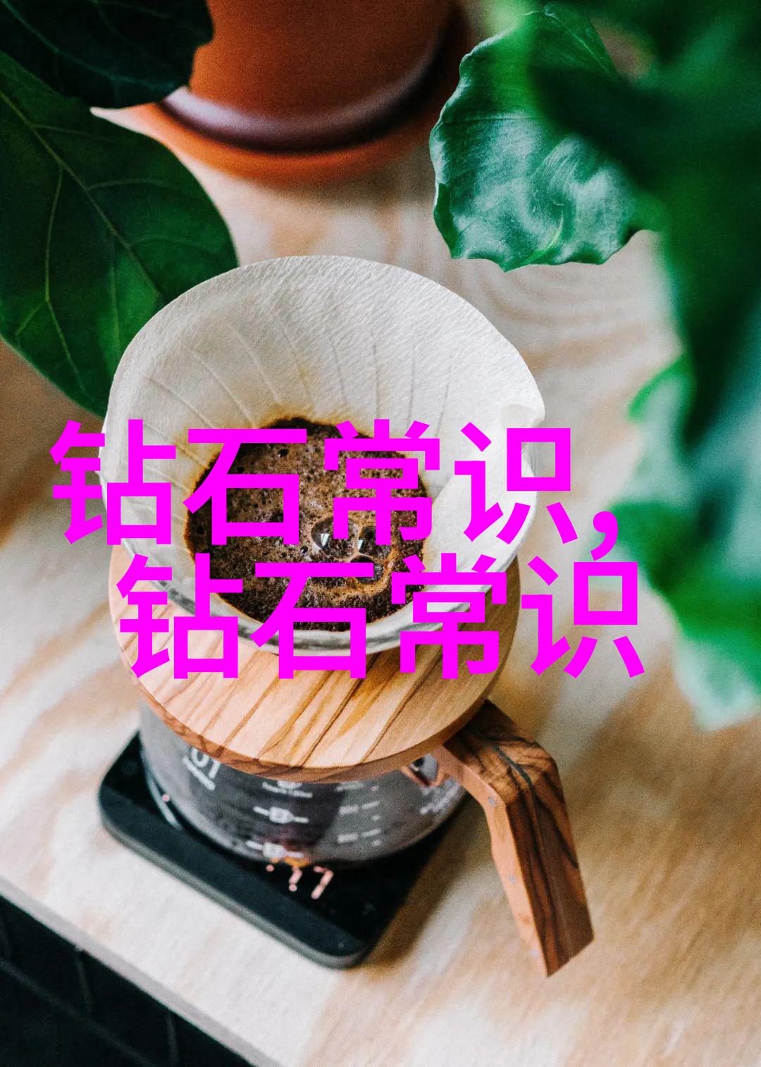 社会价值观和道德标准在文化建设中扮演着怎样的角色
