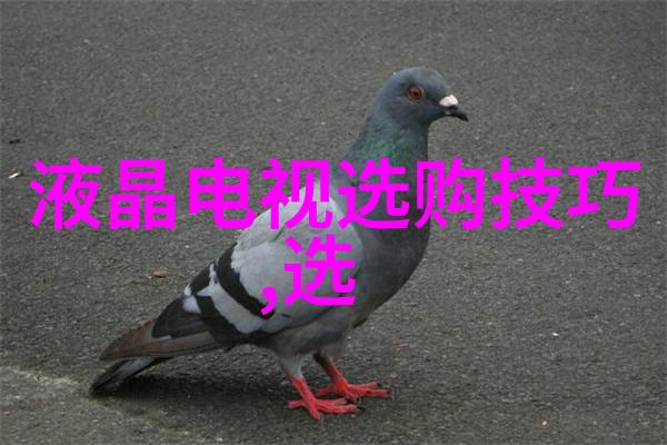 中国钻石之都北京玉带胡同市场的璀璨传奇